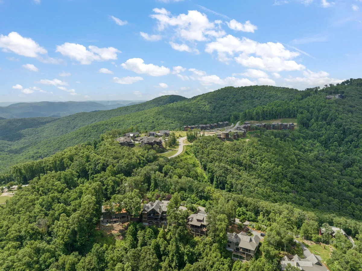 A sweeping view of the Blue Ridge Mountains stretches across the horizon, with a winding road leading through a lush, mountainous landscape dotted with scattered homes. The serene scene captures the vastness and tranquility of the area, highlighting both untouched nature and subtle signs of community living.